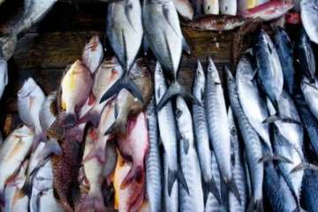 சந்தையில் மின்களின் விலை தொடர்பில் வெளியான தகவல்!