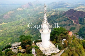 විගණනය නොමග යැවූ අම්බුළුවාවේ කෝටි ගණනක ටිකට් ගැහිල්ල.