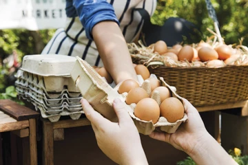 முட்டையினால் இலங்கைக்கு காத்திருக்கும் ஆபத்து! விடுக்கப்பட்டுள்ள அபாய எச்சரிக்கை