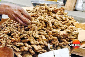 අමුඉඟුරු මිල අහසට - ජනතාව අසරණයි