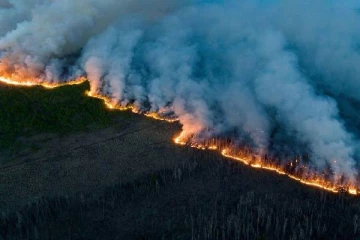 ஒரேயொரு காரணம்... 2099 ஆம் ஆண்டுக்குள்: நடுங்க வைக்கும் புதிய ஆய்வறிக்கை