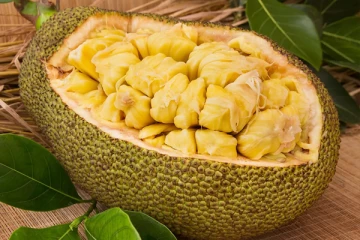 தப்பி தவறி கூட பலாப்பழம் உண்ட பின் இந்த உணவுகளை சாப்பிடாதீங்க..! உடல் நல கோளாறை ஏற்படுத்துமாம்