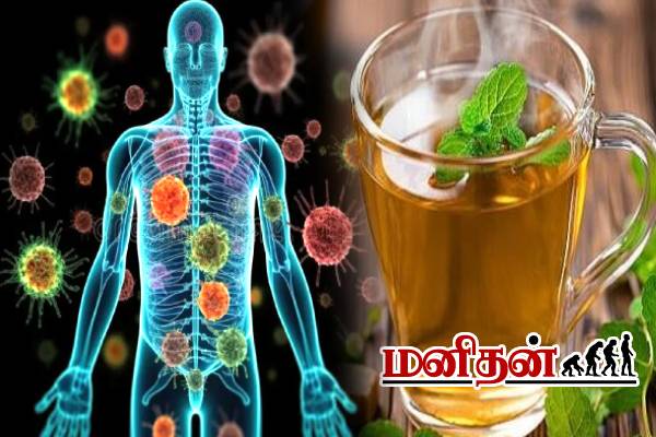 நோய் எதிர்ப்பு சக்தியை BOOST செய்யும் பானங்கள்.. வெறும் வயிற்றில் குடிக்கலாமா? | Best Morning Drinks For Your Health நோய் எதிர்ப்பு சக்தியை BOOST செய்யும் பானங்கள்.. வெறும் வயிற்றில் குடிக்கலாமா? | Best Morning Drinks For Your Health