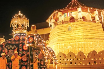 பெரஹரா வளாகத்திற்குள் தந்தையும் , மகளும் கைது