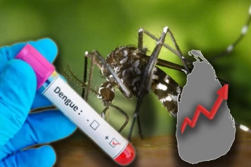 அதிகரிக்கும் டெங்கு நோயாளர்கள் : விடுக்கப்பட்டுள்ள எச்சரிக்கை