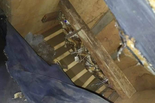 பெரிய நீலாவணை வீட்டில் குசன் கதிரைக்குள் துப்பாக்கி ; தந்தையை காட்டிக்கொடுத்த மகன் | Gun Found Under Cushion At Home Son Betrays Father பெரிய நீலாவணை வீட்டில் குசன் கதிரைக்குள் துப்பாக்கி ; தந்தையை காட்டிக்கொடுத்த மகன் | Gun Found Under Cushion At Home Son Betrays Father