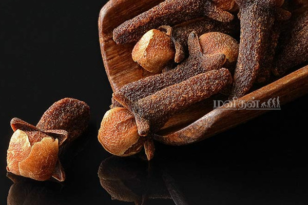 படுக்கும் முன் 2 கிராம்பை வாயில் போட்டு மெல்லுங்க! விடியும் போது தொப்பை குறையும் அதிசயம் நடக்கும் | Health Benefits Of Eating 2 Cloves