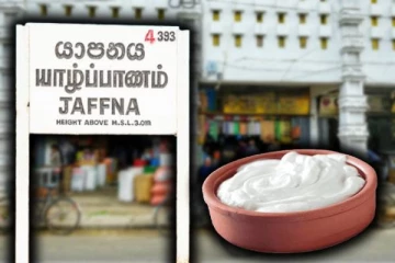 யாழில் பழுதடைந்த தயிரினை விற்பனைக்கு வைத்திருந்த நபர்: நீதிமன்றம் அதிரடி உத்தரவு