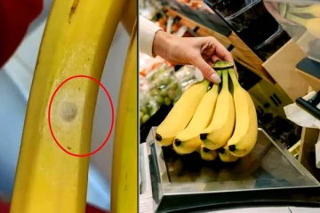 வாழைப்பழ பிரியர்களுக்கு வெளியான சோகச் செய்தி.. வெள்ளைத் திட்டுகள் பற்றிய உண்மை!