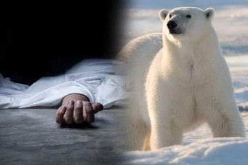 கனடாவில் துருவக் கரடிகள் தாக்கி ஒருவர் பலி