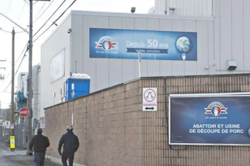 கனேடிய மாகாணமொன்றில் கருணைக்கொலை செய்யப்படும் அபாயத்தில் ஆயிரக்கணக்கான கால்நடைகள்