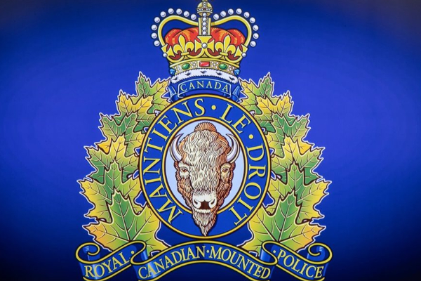 கனடாவில் வாகன கொள்ளையில் ஈடுபட்ட 30 பேர் கைது | Niagara Police Seize 38 Stolen Vehicles