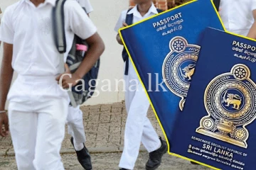 "පාසල් දරුවන් අමාරුවේ දාන්න එපා." - දෙපාර්තමේන්තුවෙන් විශේෂ නිවේදනයක්.