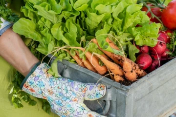 கனடாவில் பிரபலமாகும் வீட்டுத் தோட்டங்கள்; ஏன் தெரியுமா?