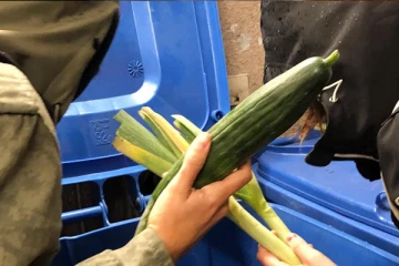 ஜேர்மனியில் குப்பைத்தொட்டியிலிருந்து உணவை எடுத்து பயன்படுத்துவதை அனுமதிக்க சட்டம்: ஒரு பயங்கர செய்தி