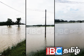 மீண்டும் கனமழை! வெள்ளத்தில் மூழ்கிய வயல் நிலங்கள்
