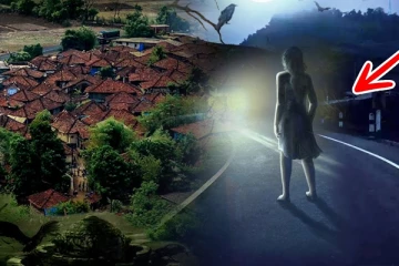 ஒட்டுமொத்த கிராமமே பயந்து நடுங்கிய சம்பவம் (Video)