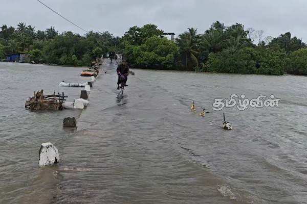 சீரற்ற கால நிலையால் திருகோணமலையில் 7000ற்கும் மேற்பட்டோர் பாதிப்பு.. | Trinco Floods Affect 7376 People
