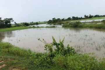 கிழக்கில் கொட்டும் மழை;  வெள்ளத்தில் அள்ளுண்டுசெல்லப்பட்ட விவசாயி!