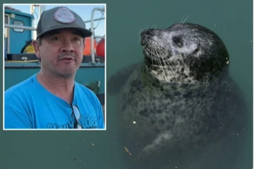 கடலில் 5 மணிநேர உயிர் போராட்டம்: நீர் நாயிடம் கவிதை பாடிய விநோத சம்பவம்