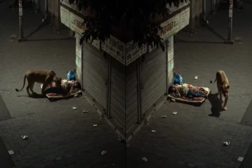 மனிதனை மோப்பம் பிடித்த சிங்கம்: உண்மை போல எடுக்கப்பட்ட AI வைரல் காணொளி