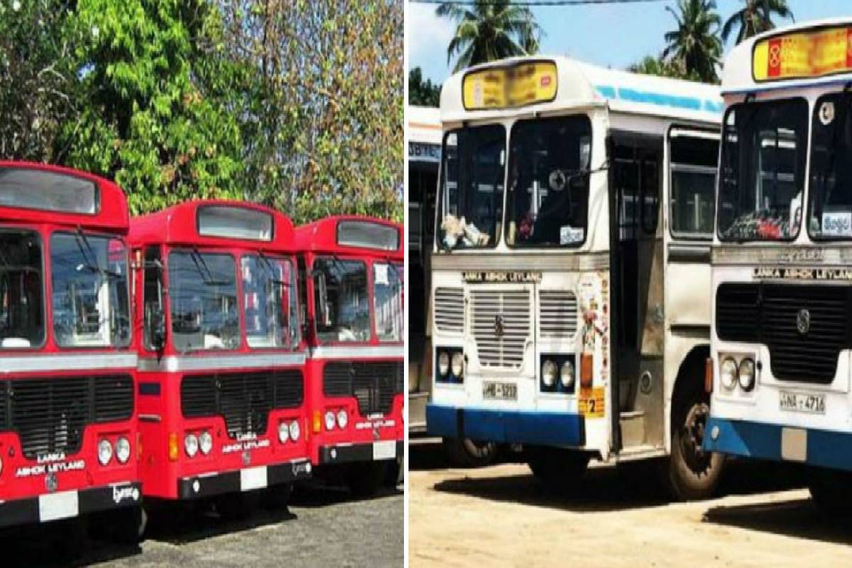 தனியார் பேருந்துகள் இயங்குவது 50 வீதமாகக் குறையும் : விடுக்கப்பட்டுள்ள எச்சரிக்கை | Private Bus Operations To Be Reduced By 50 Pr தனியார் பேருந்துகள் இயங்குவது 50 வீதமாகக் குறையும் : விடுக்கப்பட்டுள்ள எச்சரிக்கை | Private Bus Operations To Be Reduced By 50 Pr