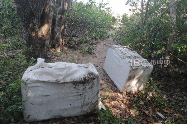16 மில்லியன் ரூபாய் பெறுமதியான போதை மாத்திரைகள் மீட்பு | Drug Pills Recovered In Mannar