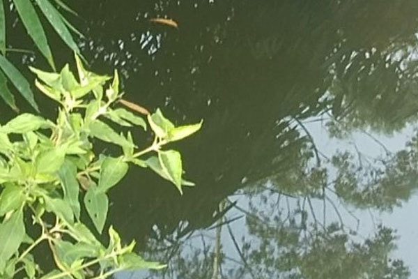 குழந்தையுடன் தெப்பக்குளத்தில் குதித்து உயிர்மாய்த்த இளம் தாய் | Young Mother Jumped Into Theppakulam And Died