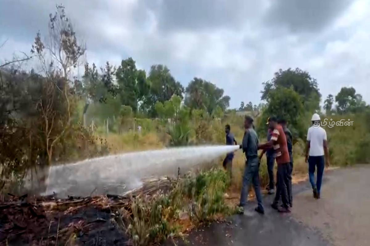 யாழில் களஞ்சிய சாலைக்கு அருகில் தீ பரவல் - விரைந்து செயற்பட்ட தீயணைப்பு படையினர் | Fire Spreads Near The Barn Road In Jaffna