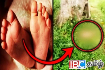 வயலில் கைவிடப்பட்ட குழந்தை: தாயிற்கு அரசு விடுத்துள்ள அறிவிப்பு