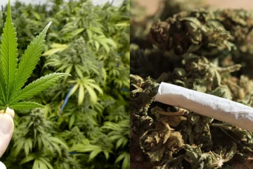 මෙරට හෙරොයින් සහ ගංජා ඇතුළු මත්ද්‍රව්‍ය භාවිතා කරන්නන් ගැන විශේෂ හෙළිදරව්වක්.