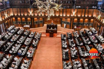 පුරාවිද්‍යා දෙපාර්තමේන්තුව කෝපා එක කේන්ති ගස්සයි - හේතුව මෙන්න