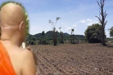 அரசாங்கம் விகாரைக்கு வழங்கிய காணியை விற்பனை செய்த பிக்கு