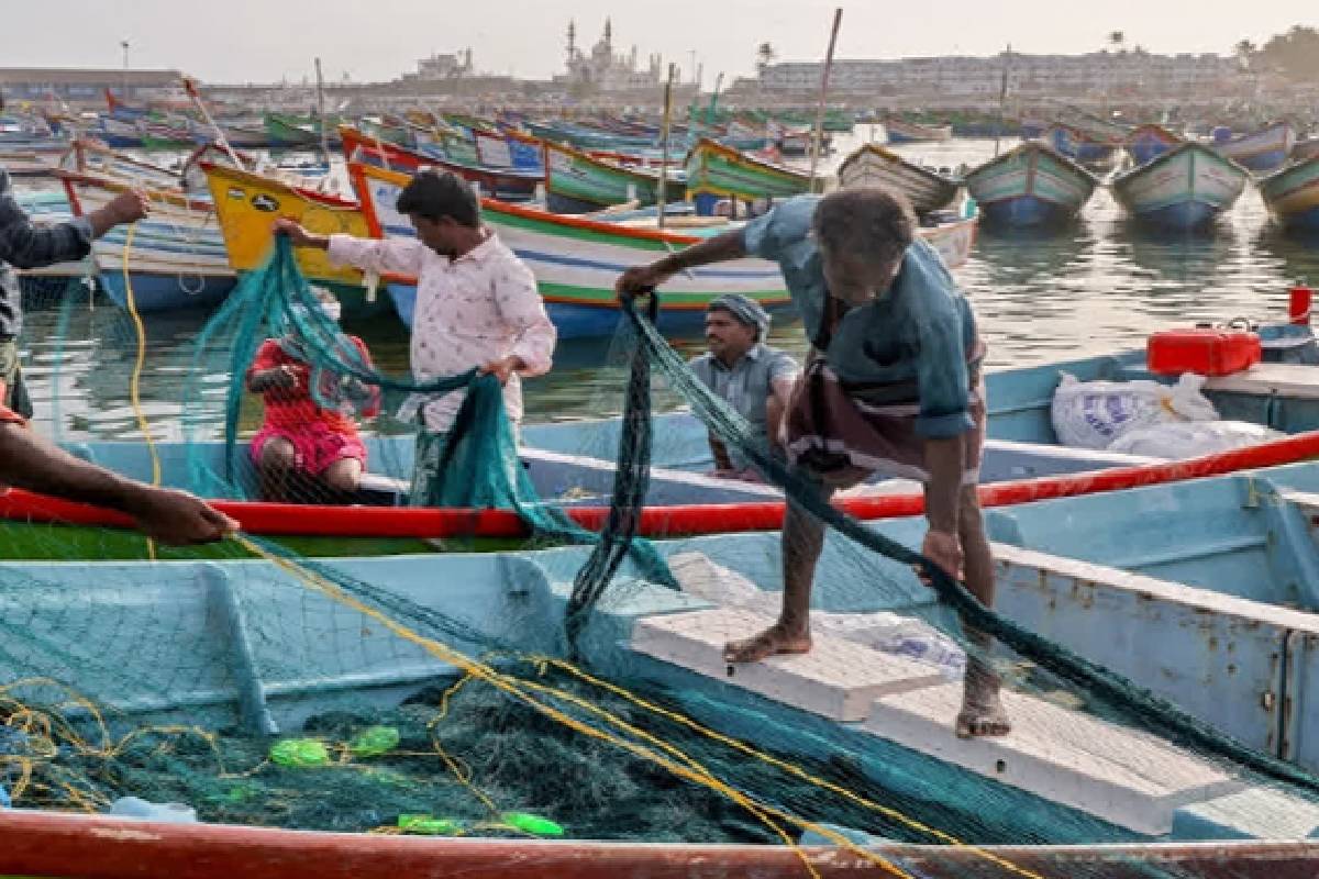கடற்றொழிலுக்கான எரிபொருள் சிக்கல் தீர்க்க அவசர இலக்கம் அறிமுகம் | Fuel Crisis For Fishing Industry Number Introduced கடற்றொழிலுக்கான எரிபொருள் சிக்கல் தீர்க்க அவசர இலக்கம் அறிமுகம் | Fuel Crisis For Fishing Industry Number Introduced
