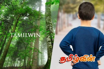 காட்டுப் பகுதியில் கண்டுபிடிக்கப்பட்ட சிறுவன்