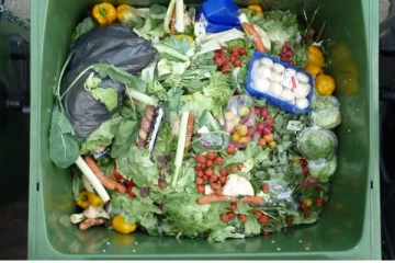 உணவுப்பொருட்களில் ஒட்டப்படும் Best-before date என்பது என்ன? கனேடிய நிபுணர்கள் கூறும் முக்கிய செய்தி