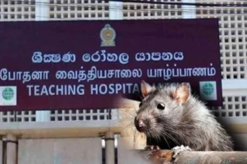 யாழப்பாணத்தில் 70 பேர் வைத்தியசாலையில் அனுமதி!