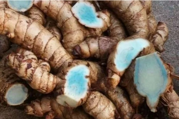 இந்த ஒரே ஒரு பொருளை வச்சு தங்கத்தை தாறுமாறாக சேர்க்கலாம்!