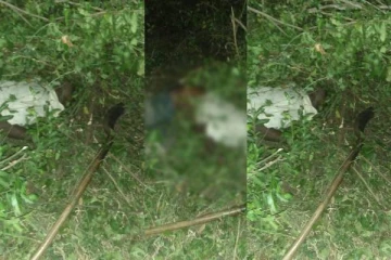 ஓய்வுபெற்ற சிவில் பாதுகாப்பு உத்தியோகத்தர் யானை தாக்கி மரணம்