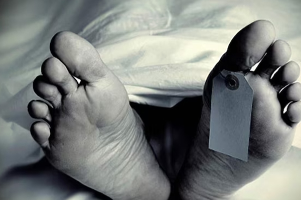 மருமகனால் தாக்கப்பட்டு மாமியார் உயிரிழப்பு! | Mother In Law Killed By Son In Law