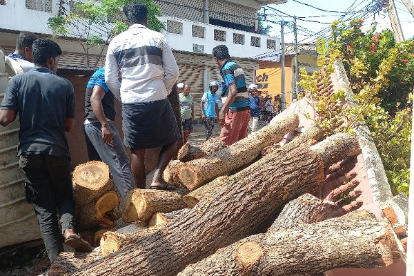 அனுமதியின்றி சட்டவிரோத செயலில் ஈடுபட்ட பலர் கைது (Photos) | Drivers Arrested Eight Vehicles Firewood
