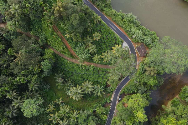 நாட்டில் சர்ச்சைக்குரிய சிங்கராஜா வனத்தின் தற்போதைய நிலை - வெளியான படங்கள் | Current Status Of Controversial Singaraja Forest