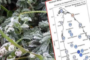 நாட்டின் பல்வேறு பகுதிகளில் உறைய வைக்கும் பனி ; நுவரெலியாவில் கடும் குளிர்!