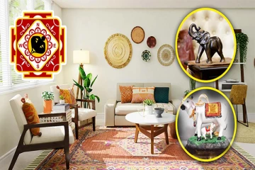 வீட்டில் பணப் பிரச்சனையா? இந்த சிலைகளை வீட்டில் வையுங்கள் ; எல்லாம் சரியாகும்