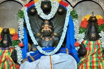 அபிஷேகம் செய்யும் பால் நிறம் மாறும் அதிசயம் எங்கு தெரியுமா?