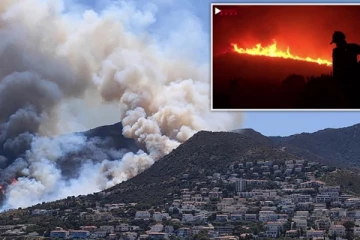 ஒரே ஒரு சிகரெட் துண்டு... பற்றியெரியும் 1,000 ஏக்கர் வனப்பகுதி