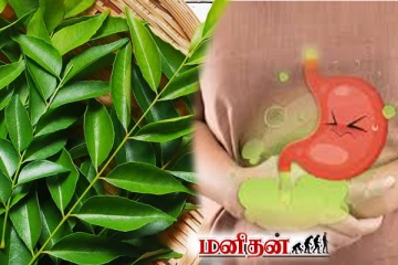 கறிவேப்பிலை பக்கவிளைவையும் ஏற்படுத்துமாம்... உங்களுக்கு தெரியுமா?