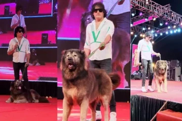 உலகின் விலையுயர்ந்த நாயை ரூ.50 கோடிக்கு வாங்கிய நபர்.., ஏன் தெரியுமா?