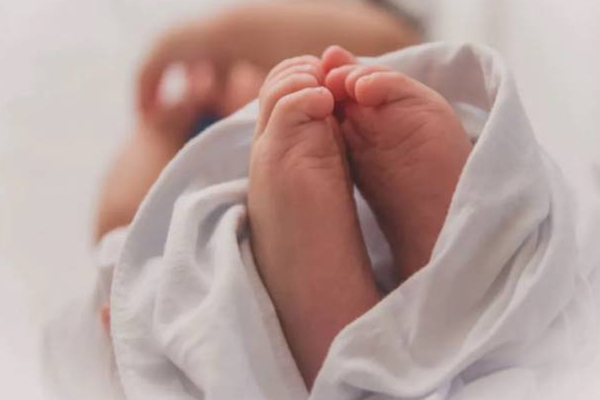 தாய் - தந்தை வீட்டில் இருந்தபோதும் பரிதாபமாக உயிரிழந்த சிறுவன்! | A Boy Died After Falling Into A Well In Galle