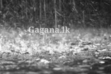 අද වැස්සේ තත්ත්වය කොහොමද දන්නවා ද?. ප්‍රදේශ රැසක ජනතාවට විශේෂ දැනුම්දීමක් මෙන්න..